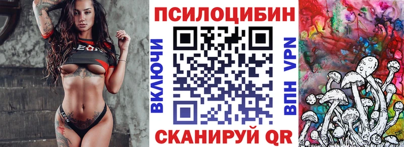 Псилоцибиновые грибы мухоморы купить закладку Сорск